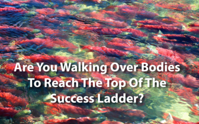Are you walking over bodies to reach the top of the success ladder?
