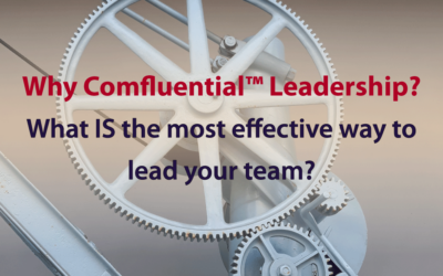 What IS the most effective way to lead your team?